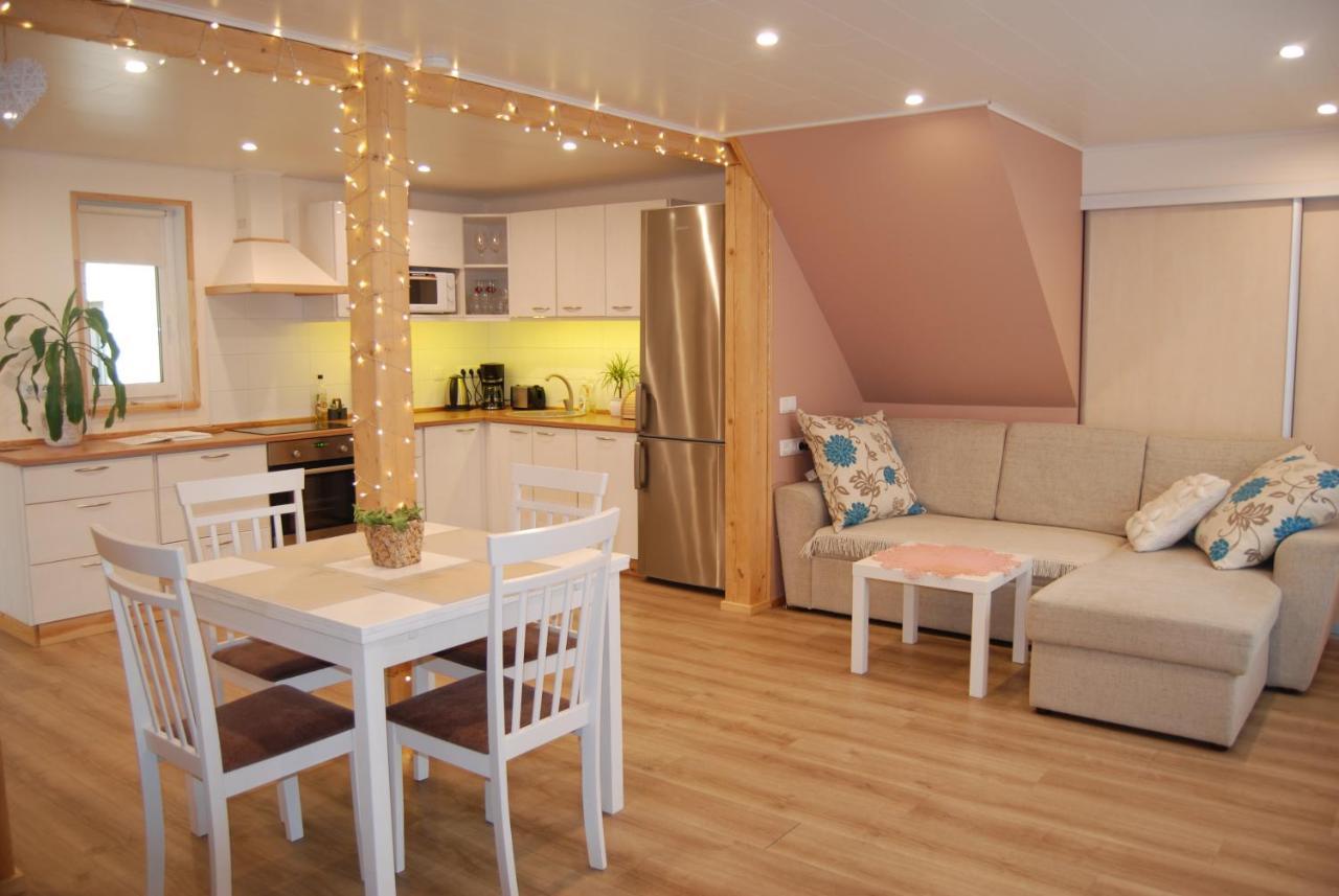 Liisupesa Apartment With Sauna And Garden Pärnu Extérieur photo